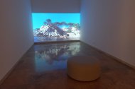 El treball guanyador de la BADt 2025 és la creació audiovisual ‘SSSSS’, de Marc Vives.